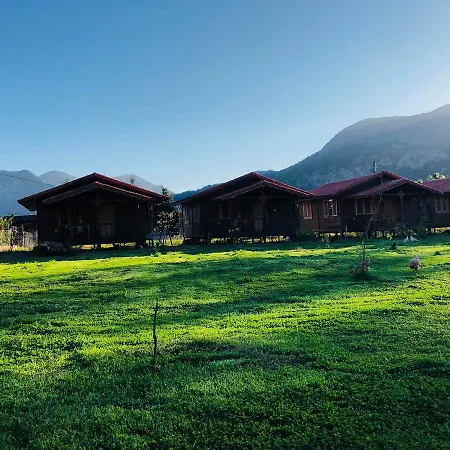 Servet