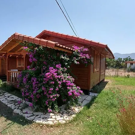 Servet Çıralı