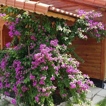 Servet * Cirali